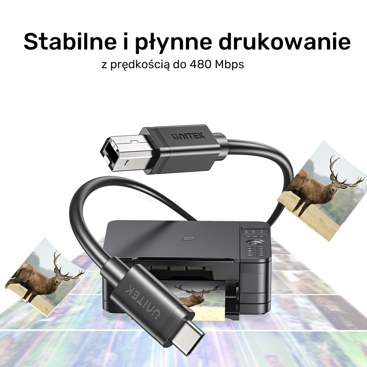 Zdjecie produktu 8