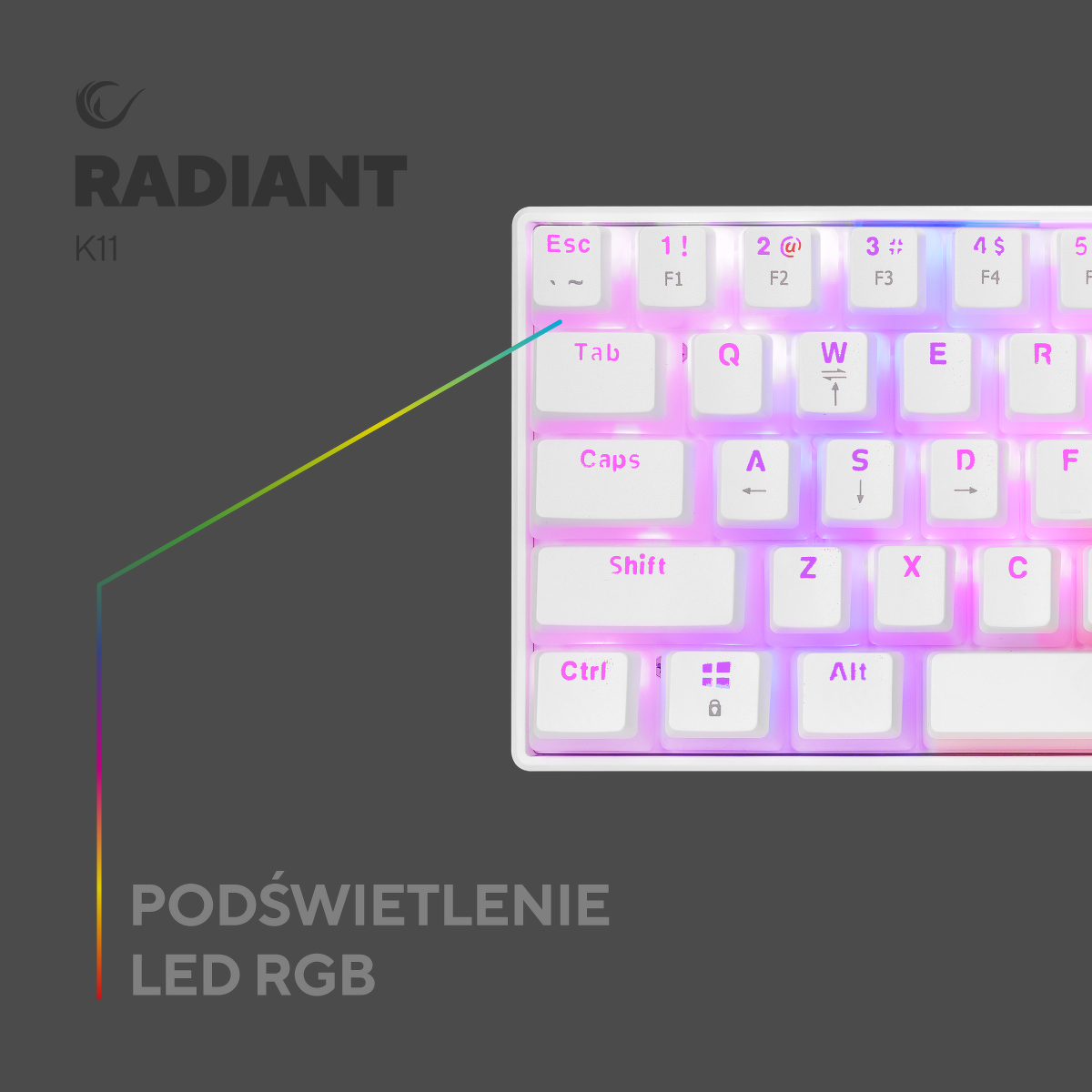 Zdjecie produktu 5